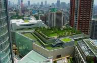 green-roof-52772-6088387