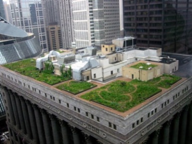 green-roof-save-money-1